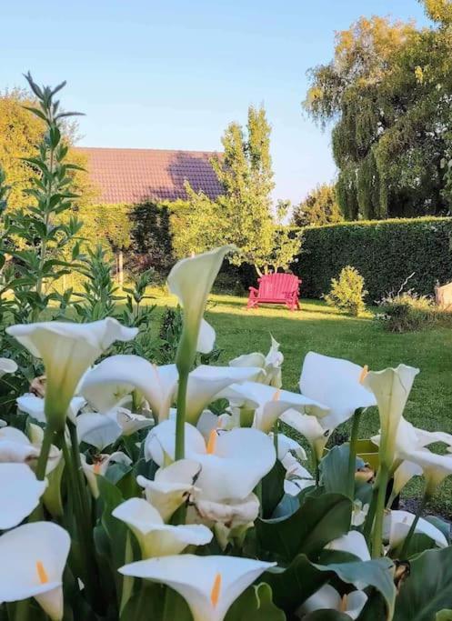 Le Jardin Des Lacs Gite Nature Et Spa Ardres Εξωτερικό φωτογραφία